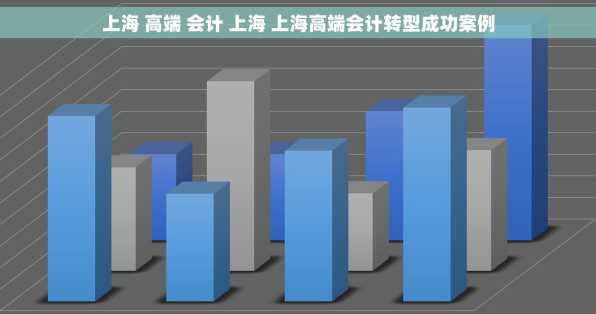 上海 高端 会计 上海 上海高端会计转型成功案例