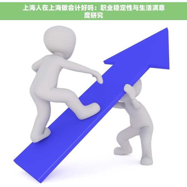 上海人在上海做会计好吗：职业稳定性与生活满意度研究