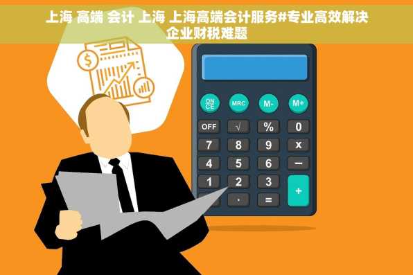 上海 高端 会计 上海 上海高端会计服务#专业高效解决企业财税难题