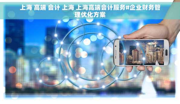 上海 高端 会计 上海 上海高端会计服务#企业财务管理优化方案