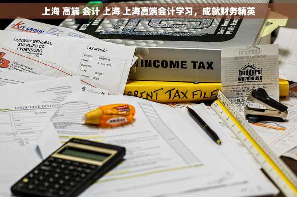 上海 高端 会计 上海 上海高端会计学习，成就财务精英