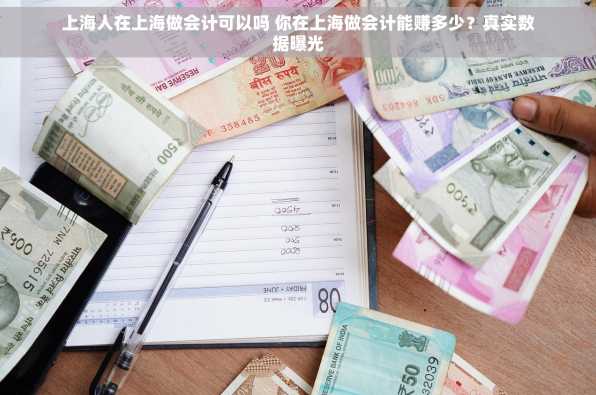 上海人在上海做会计可以吗 你在上海做会计能赚多少？真实数据曝光