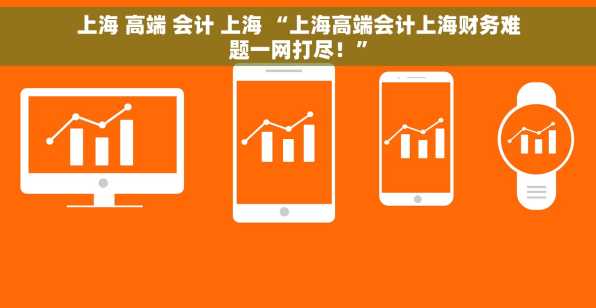 上海 高端 会计 上海 “上海高端会计上海财务难题一网打尽！”