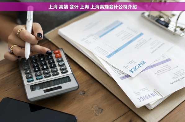 上海 高端 会计 上海 上海高端会计公司介绍