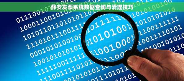 静安发票系统数据查询与清理技巧
