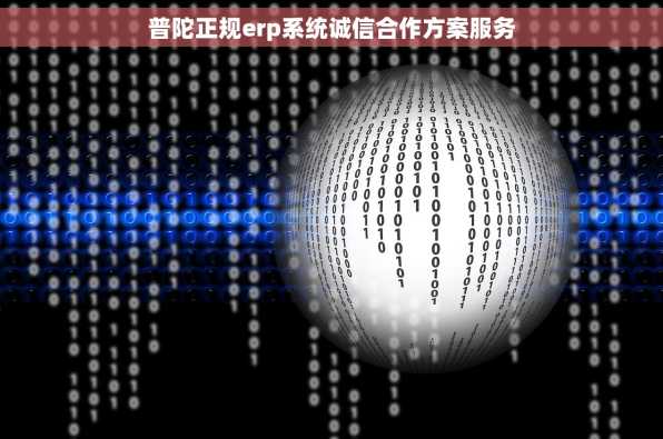 普陀正规erp系统诚信合作方案服务