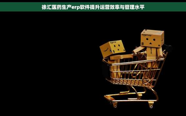 徐汇医药生产erp软件提升运营效率与管理水平