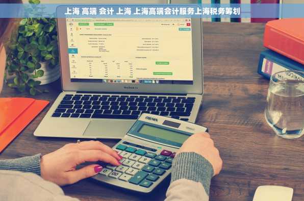上海 高端 会计 上海 上海高端会计服务上海税务筹划