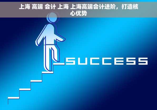 上海 高端 会计 上海 上海高端会计进阶，打造核心优势