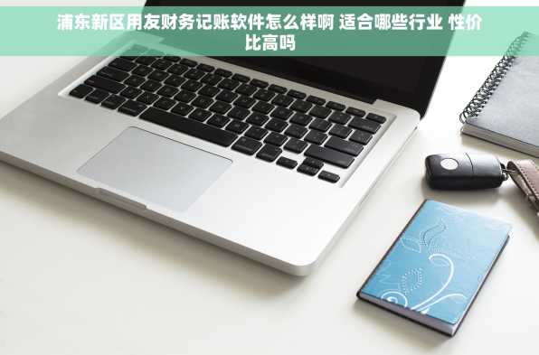 浦东新区用友财务记账软件怎么样啊 适合哪些行业 性价比高吗