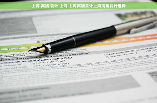 上海 高端 会计 上海 上海高端会计上海高端会计选择
