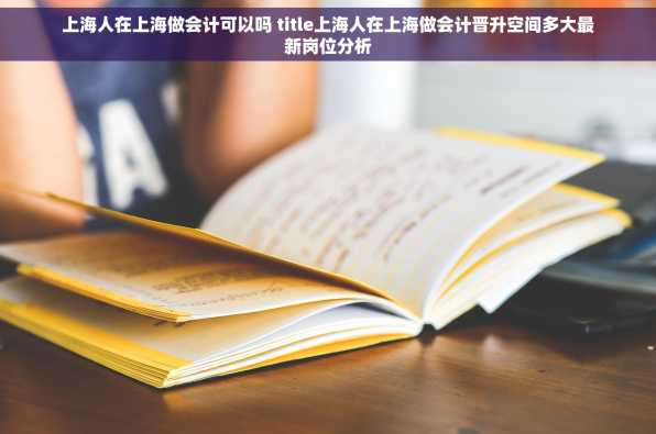 上海人在上海做会计可以吗 title上海人在上海做会计晋升空间多大最新岗位分析