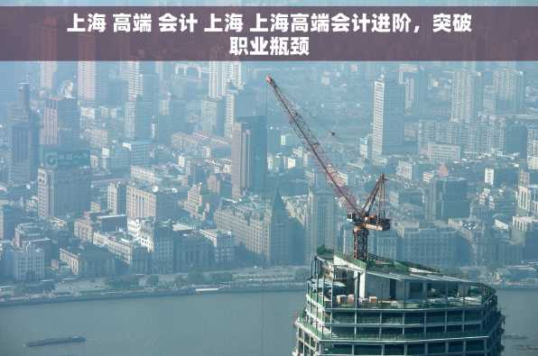 上海 高端 会计 上海 上海高端会计进阶，突破职业瓶颈