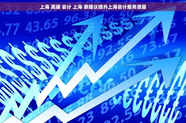 上海 高端 会计 上海 条建议提升上海会计服务质量