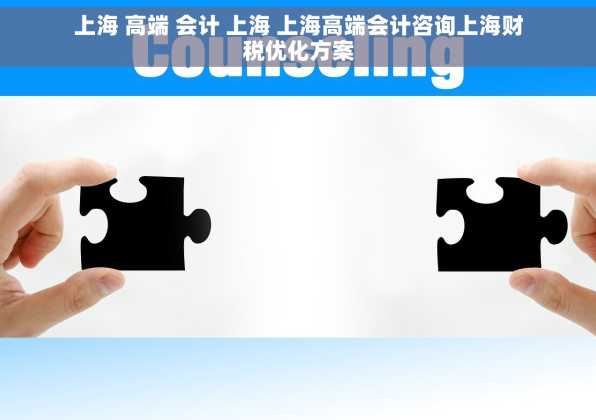 上海 高端 会计 上海 上海高端会计咨询上海财税优化方案