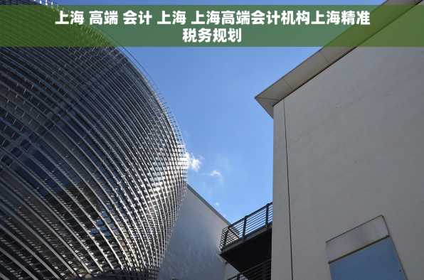 上海 高端 会计 上海 上海高端会计机构上海精准税务规划