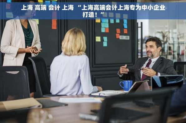 上海 高端 会计 上海 “上海高端会计上海专为中小企业打造！”