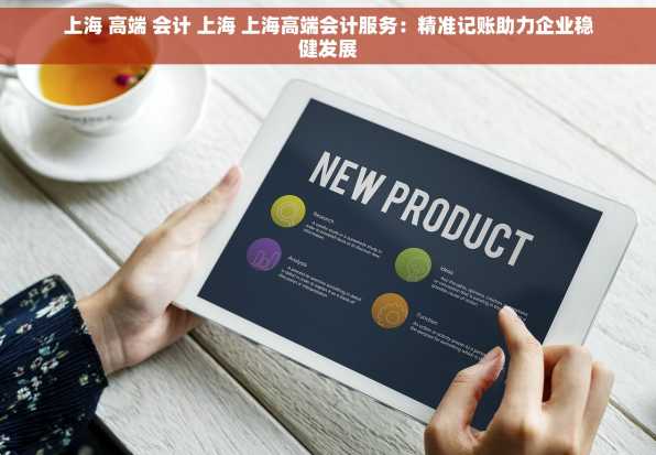 上海 高端 会计 上海 上海高端会计服务：精准记账助力企业稳健发展