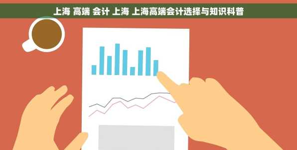 上海 高端 会计 上海 上海高端会计选择与知识科普