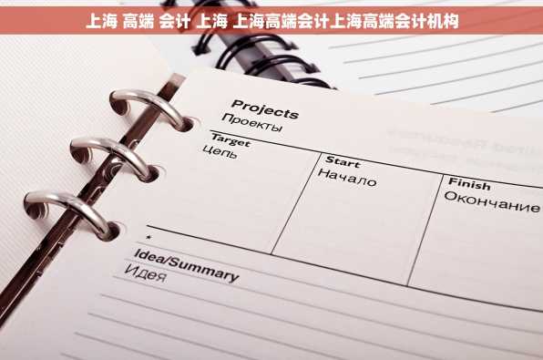 上海 高端 会计 上海 上海高端会计上海高端会计机构