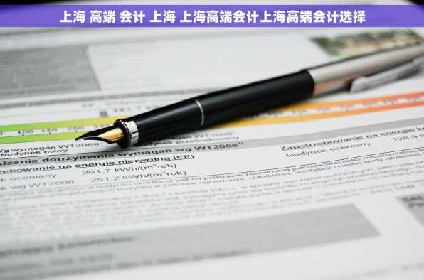 上海 高端 会计 上海 上海高端会计上海高端会计选择