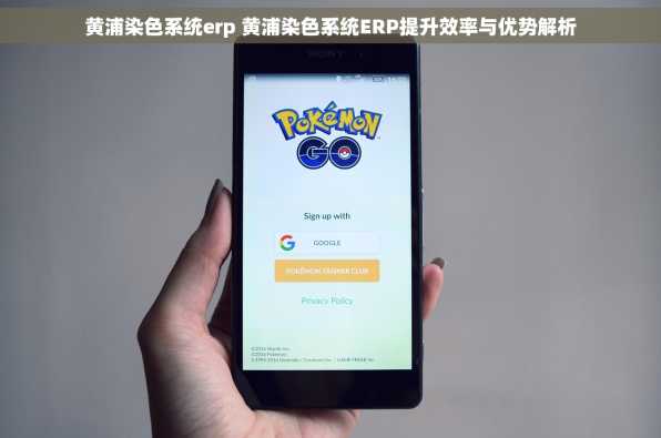 黄浦染色系统erp 黄浦染色系统ERP提升效率与优势解析