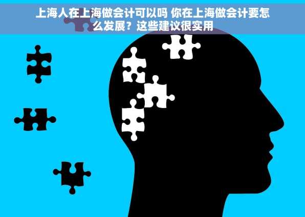 上海人在上海做会计可以吗 你在上海做会计要怎么发展？这些建议很实用