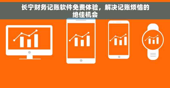 长宁财务记账软件免费体验，解决记账烦恼的绝佳机会