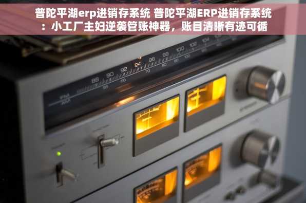 普陀平湖erp进销存系统 普陀平湖ERP进销存系统：小工厂主妇逆袭管账神器，账目清晰有迹可循