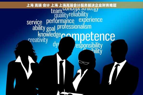 上海 高端 会计 上海 上海高端会计服务解决企业财务难题