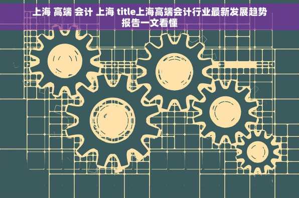 上海 高端 会计 上海 title上海高端会计行业最新发展趋势报告一文看懂