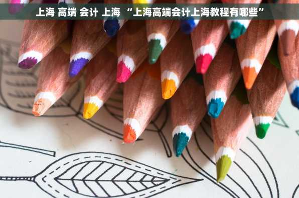 上海 高端 会计 上海 “上海高端会计上海教程有哪些”