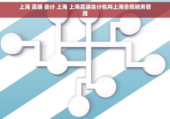 上海 高端 会计 上海 上海高端会计机构上海合规税务管理