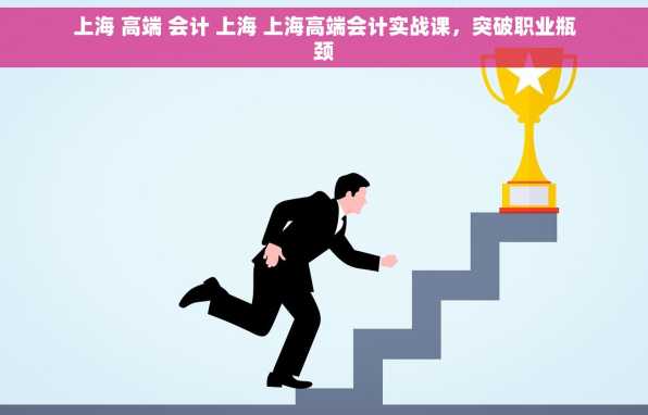 上海 高端 会计 上海 上海高端会计实战课，突破职业瓶颈