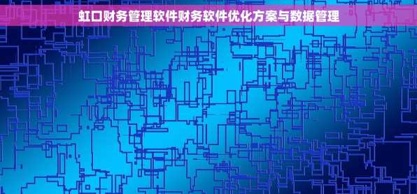 虹口财务管理软件财务软件优化方案与数据管理