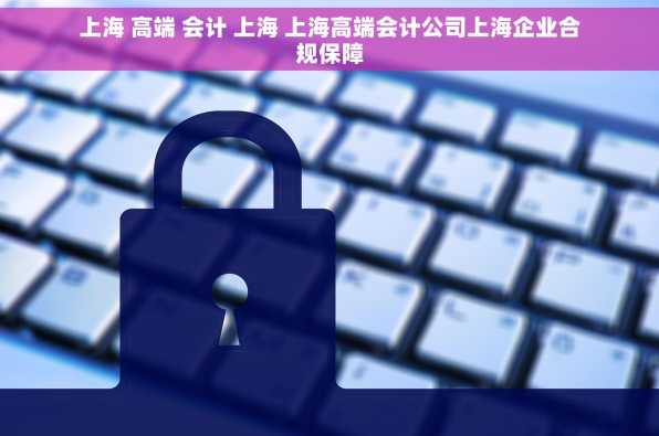 上海 高端 会计 上海 上海高端会计公司上海企业合规保障