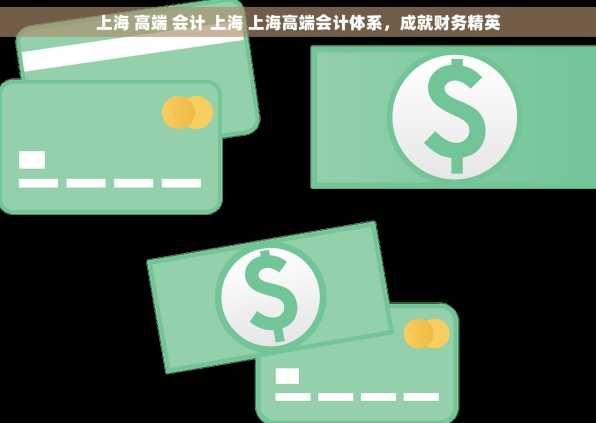 上海 高端 会计 上海 上海高端会计体系，成就财务精英