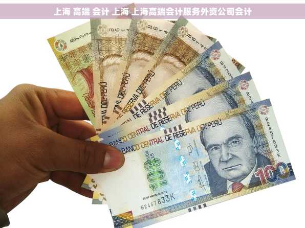 上海 高端 会计 上海 上海高端会计服务外资公司会计