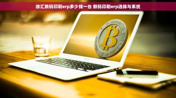 徐汇数码印刷erp多少钱一台 数码印刷erp选择与系统