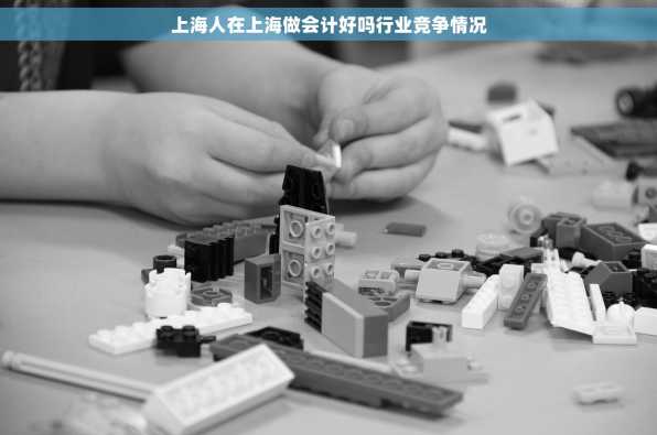 上海人在上海做会计好吗行业竞争情况