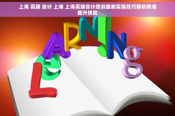 上海 高端 会计 上海 上海高端会计培训最新实操技巧解析精准提升技能