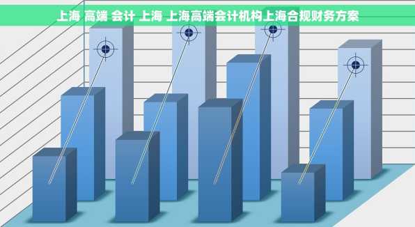 上海 高端 会计 上海 上海高端会计机构上海合规财务方案