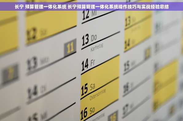 长宁 预算管理一体化系统 长宁预算管理一体化系统操作技巧与实战经验总结