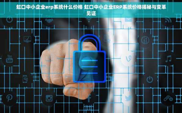 虹口中小企业erp系统什么价格 虹口中小企业ERP系统价格揭秘与变革见证
