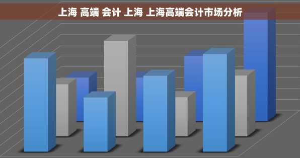 上海 高端 会计 上海 上海高端会计市场分析