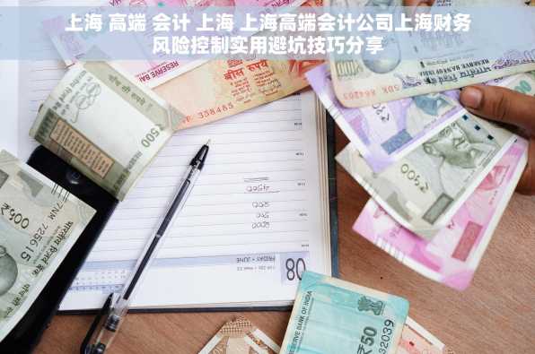 上海 高端 会计 上海 上海高端会计公司上海财务风险控制实用避坑技巧分享