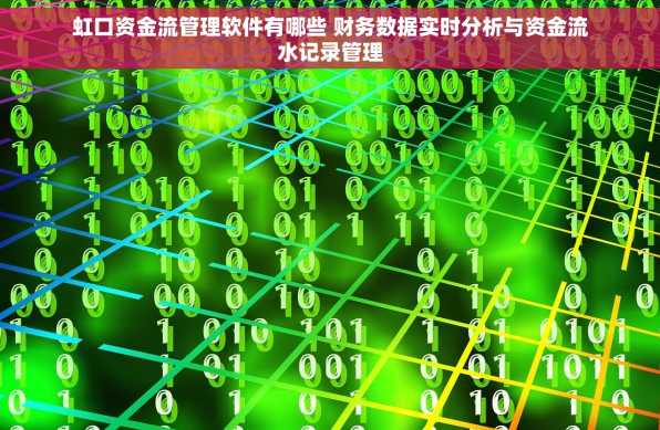 虹口资金流管理软件有哪些 财务数据实时分析与资金流水记录管理