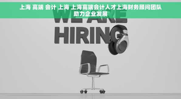 上海 高端 会计 上海 上海高端会计人才上海财务顾问团队助力企业发展