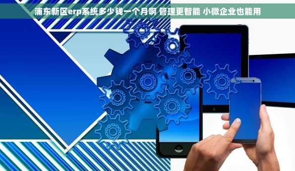 浦东新区erp系统多少钱一个月啊 管理更智能 小微企业也能用