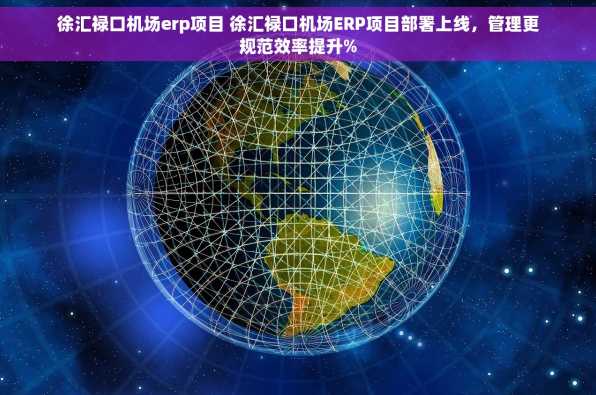徐汇禄口机场erp项目 徐汇禄口机场ERP项目部署上线，管理更规范效率提升%